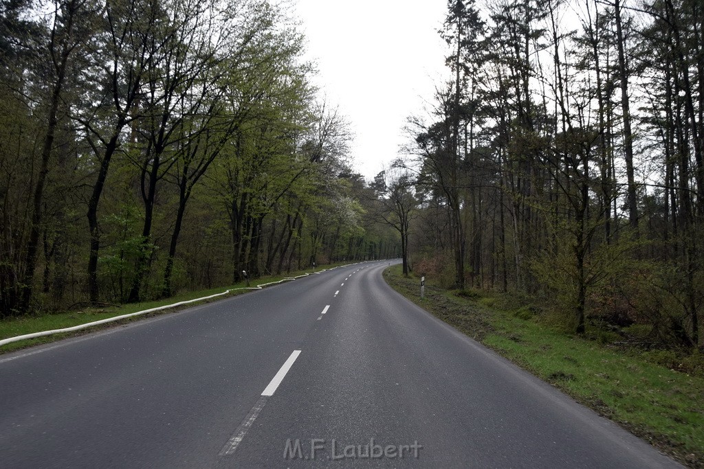 Waldbrand Wahner Heide Troisdorf Eisenweg P016.JPG - Miklos Laubert